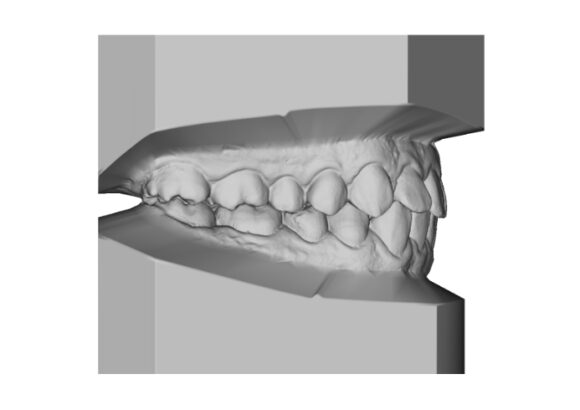 Modelos Virtuales en Escaneo Studio Digital Imaging