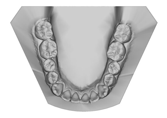 Modelos Virtuales en Escaneo Studio Digital Imaging
