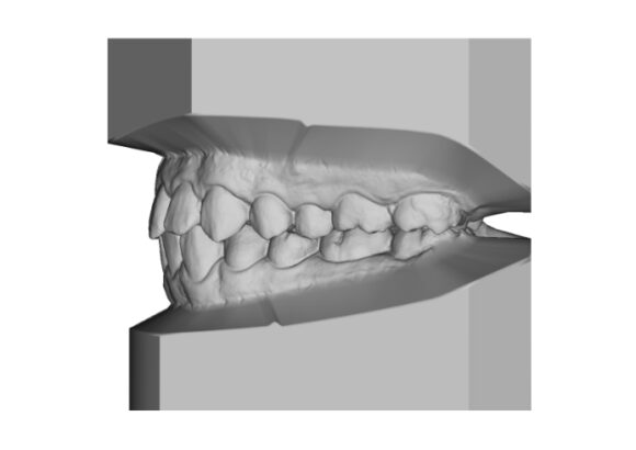 Modelos Virtuales en Escaneo Studio Digital Imaging